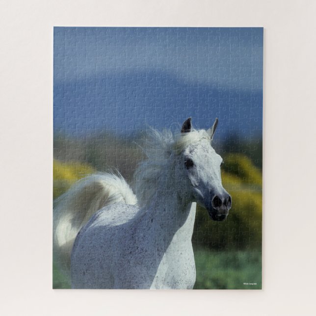 Quebra-cabeça Bob Langrish | Cabeça Árabe de Cinzas (Vertical)