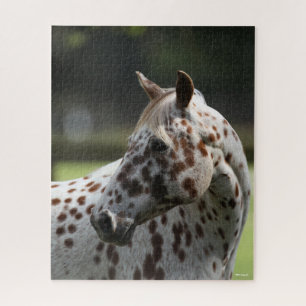 Quebra-cabeça Bob Langrish Captura de cabeça de Appaloosa
