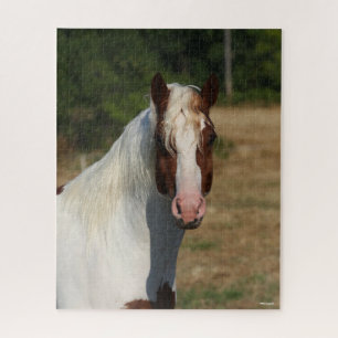 Quebra-cabeça Bob Langrish Captura de cabeça de cavalo de Pin