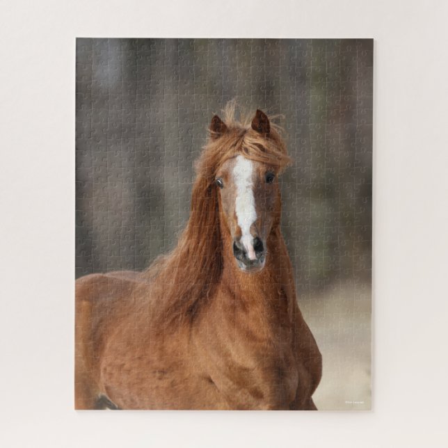 Quebra-cabeça Bob Langrish | Captura de cabeça de Chestnut Hackn (Vertical)