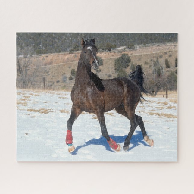 Quebra-cabeça Bob Langrish | Cavalo Árabe De Baía Em Neve (Horizontal)