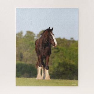 Quebra-cabeça Bob Langrish Cavalo De Shire Em Campo