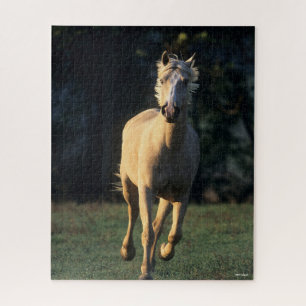 Quebra-cabeça Bob Langrish   Cavalo Palomino com iluminação tr