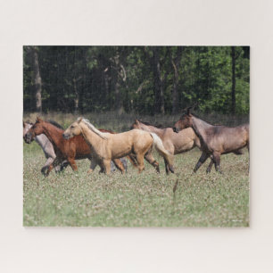 Quebra-cabeça Bob Langrish Cavalos do Trimestre Herd Andando