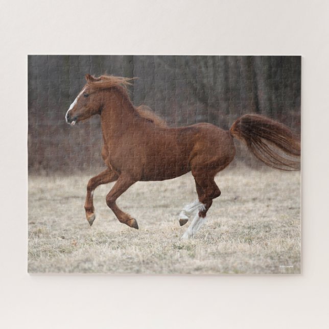 Quebra-cabeça Bob Langrish | Chestnut Hackney Pony Running (Horizontal)