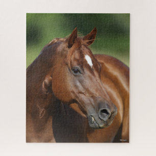 Quebra-cabeça Bob Langrish Chestnut Quarter Horse Mare Headshot