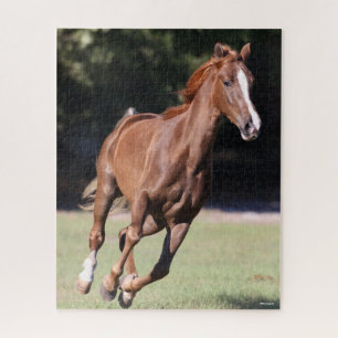 Quebra-cabeça Bob Langrish Chestnut Tennessee Walker Runker