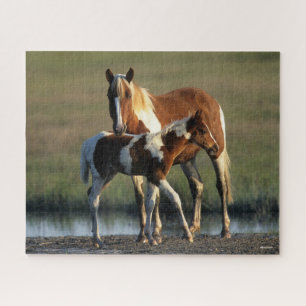 Quebra-cabeça Bob Langrish   Chincoteague Mare e Foal Permanente