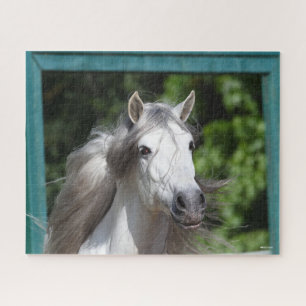 Quebra-cabeça Bob Langrish Cinza Andalucian Stallion Captura