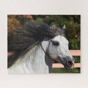 Quebra-cabeça Bob Langrish Cinza Andalucian Stallion Captura d