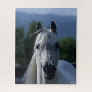 Quebra-cabeça Bob Langrish Cinza Árabe Stallion Em Posição