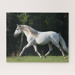 Quebra-cabeça Bob Langrish Cinza Lusitano Stallion
