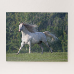 Quebra-cabeça Bob Langrish Cinza Lusitano Stallion Running