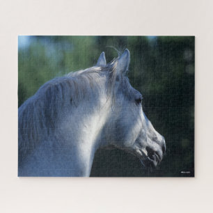 Quebra-cabeça Bob Langrish Cinza Trakehner Stallion Headshot