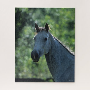 Quebra-cabeça Bob Langrish Cinza Warmblood Holandês Captura ret