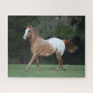 Quebra-cabeça Bob Langrish Corrente de Cavalo Appaloosa