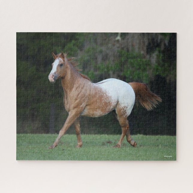 Quebra-cabeça Bob Langrish | Corrente de Cavalo Appaloosa (Horizontal)