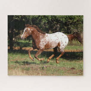 Quebra-cabeça Bob Langrish Corrente de Cavalo Appaloosa
