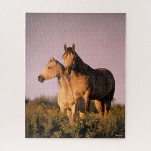 Quebra-cabeça Bob Langrish Dois Cavalos Árabes em Pé ao Sol