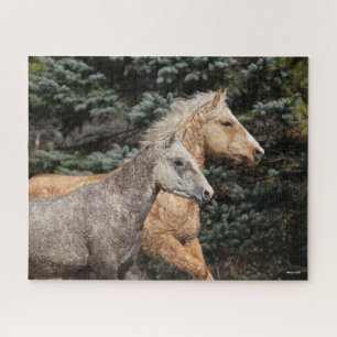 Quebra-cabeça Bob Langrish Duas Capturas de Cavalo de Bashkir