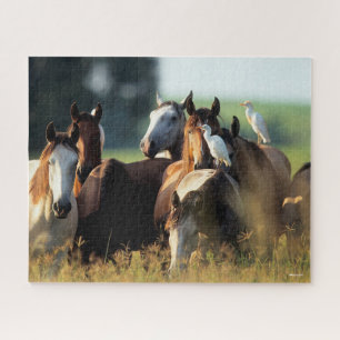 Quebra-cabeça Bob Langrish Efetivos De Cavalos Com Aves