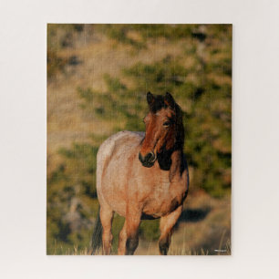 Quebra-cabeça Bob Langrish   Equinos Mustang