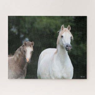 Quebra-cabeça Bob Langrish Galês Pony Mare e Foal