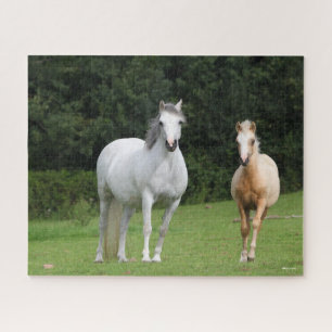 Quebra-cabeça Bob Langrish Galês Pony Mare e Foal