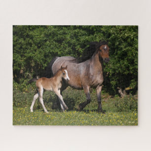 Quebra-cabeça Bob Langrish Galês Pony Mare e Foal Running