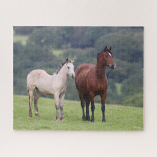 Quebra-cabeça Bob Langrish Galês Pony Mare e Foal Standby