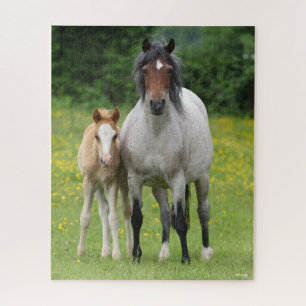 Quebra-cabeça Bob Langrish Galês Pony Mare e Foal Standby