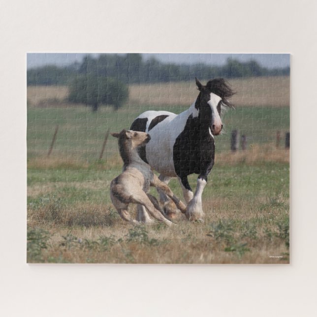Quebra-cabeça Bob Langrish | Gypsy Vanner Mare and Foal (Horizontal)