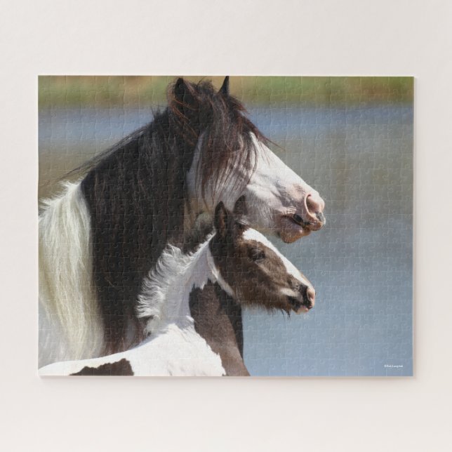 Quebra-cabeça Bob Langrish | Gypsy Vanner Mare and Foal Headshot (Horizontal)