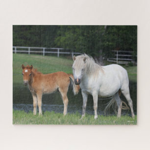 Quebra-cabeça Bob Langrish Miniatura Pony Mare e Foal em Pé