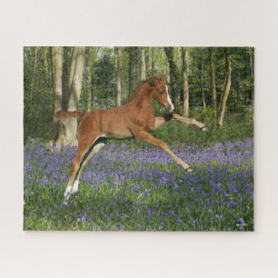 Quebra-cabeça Bob Langrish Morgan Foal Saltando Com Bluebells