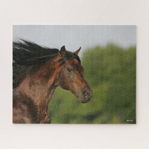 Quebra-cabeça Bob Langrish Morgan Horse Headshot Fluindo Mane
