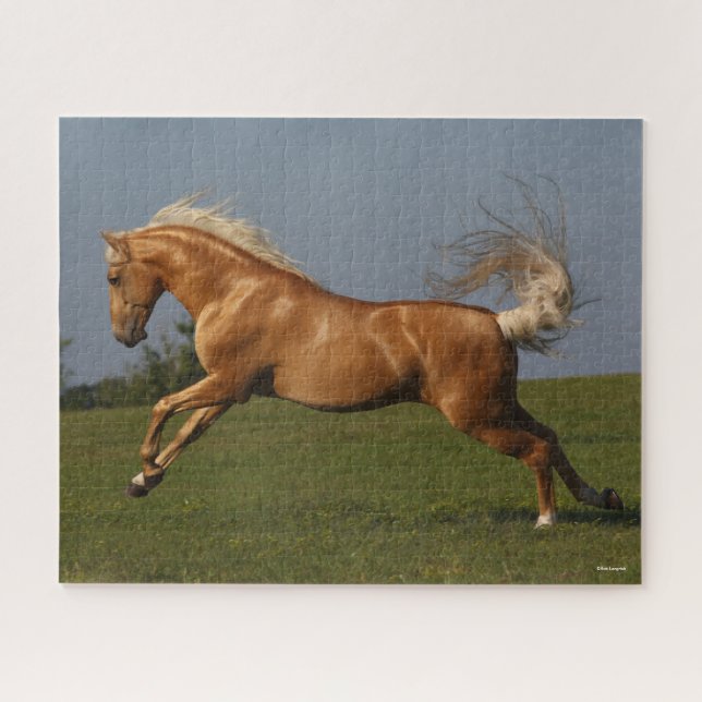 Quebra-cabeça Bob Langrish | Palomino Lusitano — Leapão (Horizontal)