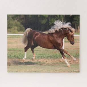 Quebra-cabeça Bob Langrish Palomino Morgan Horse Bucking