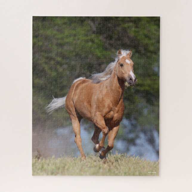 Quebra-cabeça Bob Langrish | Palomino Quarter Horse Running (Vertical)