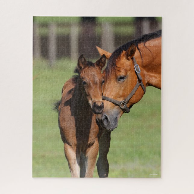 Quebra-cabeça Bob Langrish Quarter Horse Mare e Foal Cuddling (Vertical)