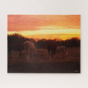 Quebra-cabeça Bob Langrish Quatro Cavalos Grazados ao Sol