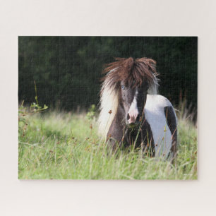 Quebra-cabeça Bob Langrish   Shetland Stallion Em Situação De 