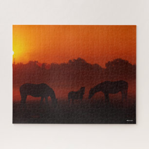Quebra-cabeça Bob Langrish Três Cavalos Grazados ao Sol