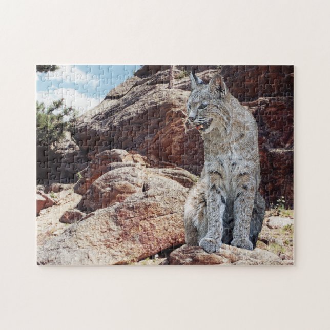 Quebra-cabeça Bobcat Descansa Entre Rochas em Montanhas (Horizontal)