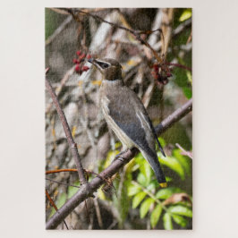 Quebra-cabeça Boêmia Waxwing, Descansada em um galho