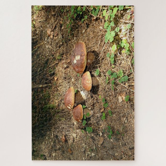 Quebra-cabeça boletus (Vertical)