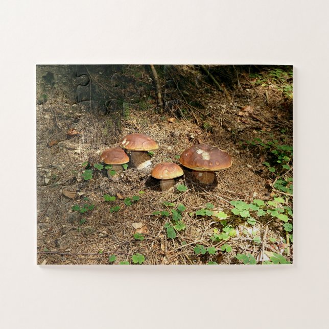Quebra-cabeça boletus (Horizontal)