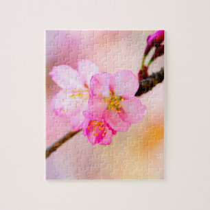 Quebra-cabeça Bonita Sakura Cherry Blossoms Desafiando