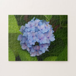 Quebra-cabeça Bonito, azul e rosa, Hydrangea Foto Floral