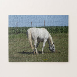 Quebra-cabeça Bonito Cavalo Branco